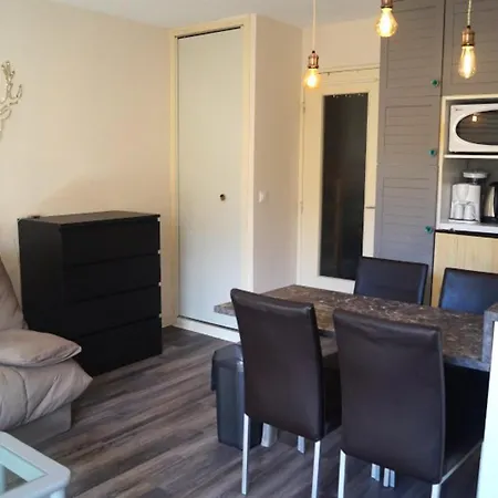 Renove Au Pied Des Pistes Avec Terrasse - Fr-1-165a-22 公寓