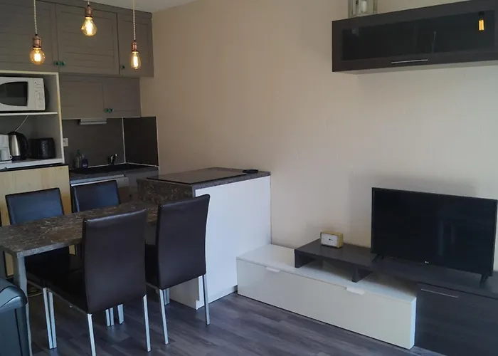 Renove Au Pied Des Pistes Avec Terrasse - Fr-1-165a-22